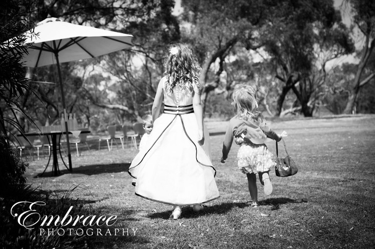 D'Arenberg-Winery-Adelaide-Wedding-Photographer-Alison&Ashley-0002