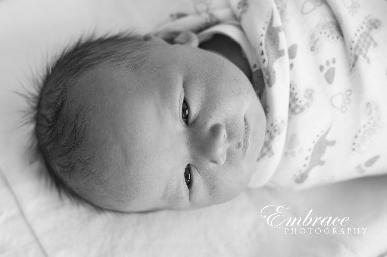 Adelaide-Newborn-Photographer---Baby-Finn---Adelaide-Women's-&-Children's-Hospital---0002